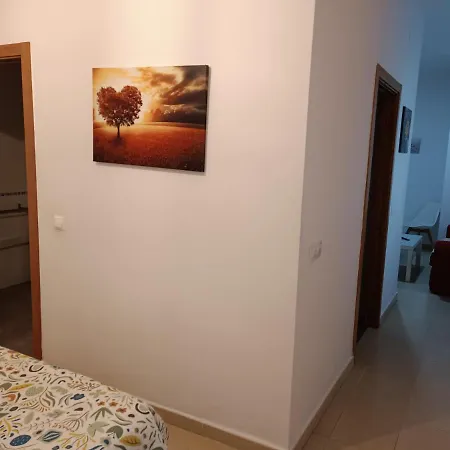 Apartamento Bajo En Mentidero Cadiz Exterior photo